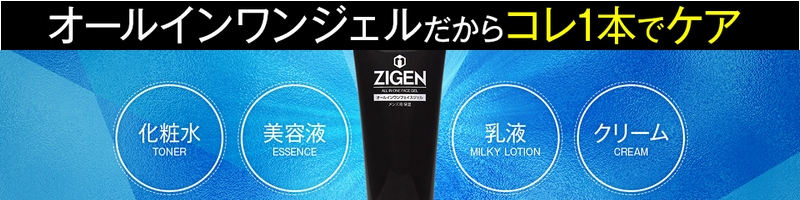 ZIGEN �I�[���C���������T�C�g